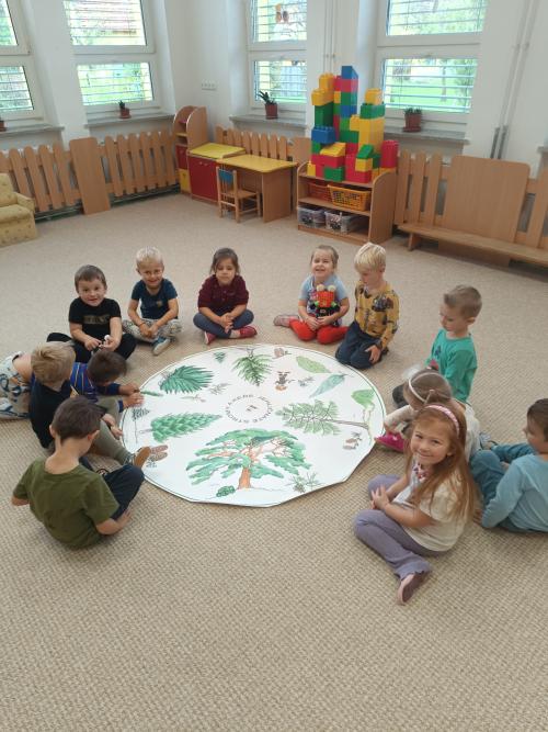 Les na podzim a lesní plody